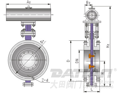 Dd643氣動法蘭式多層次金屬硬密封蝶閥 結(jié)構(gòu)圖